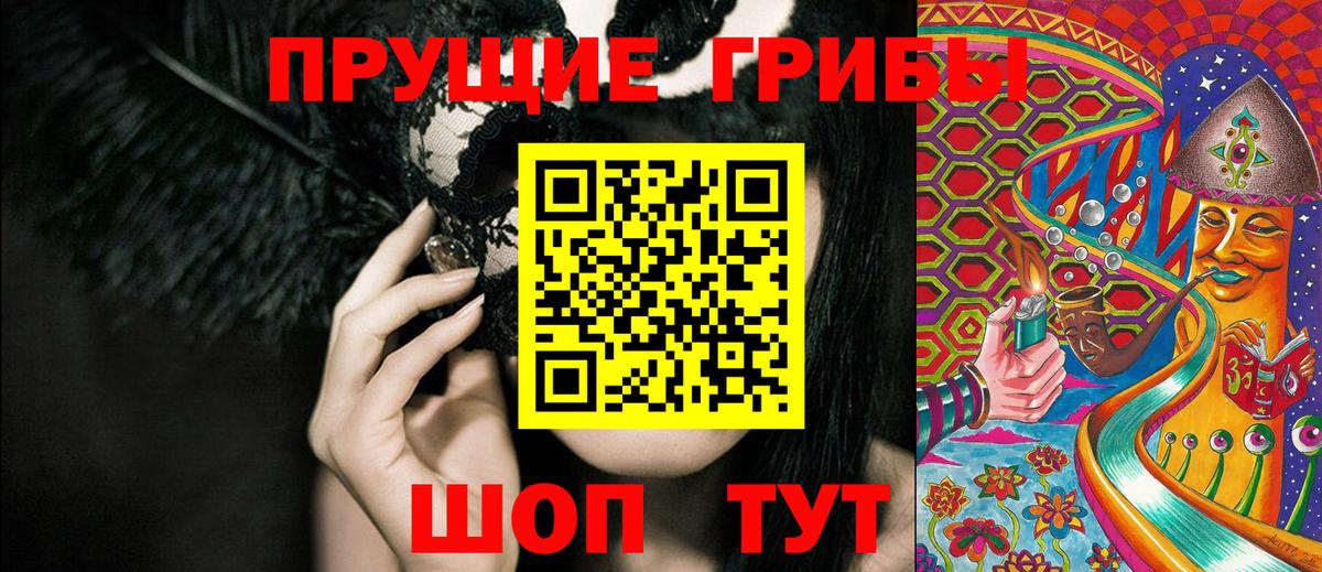 Псилоцибиновые грибы GOLDEN TEACHER Димитровград